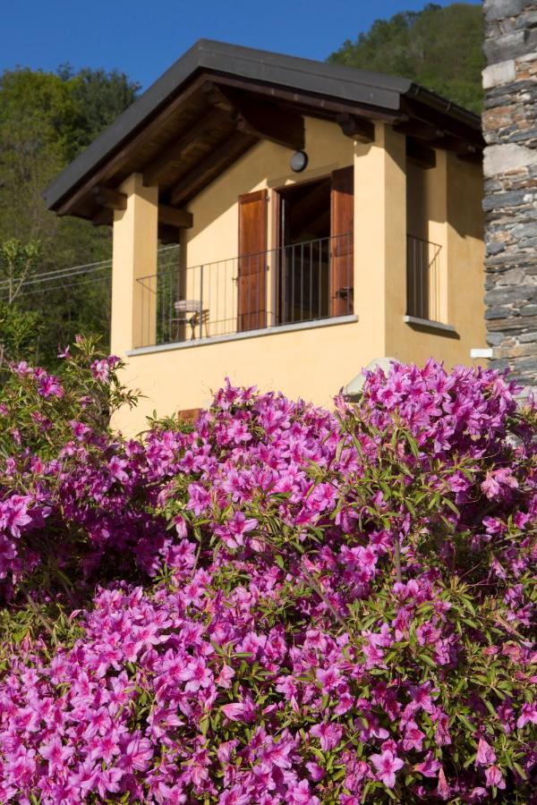 Violina Casa Vacanze Pettenasco Exteriér fotografie